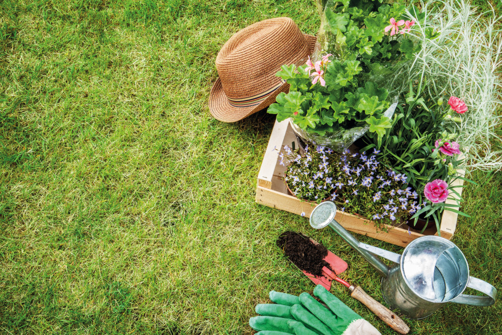 manutenzione estiva giardino: 5 consigli